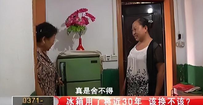 花如今三家易主只剩下一家成为一线品牌米乐m6登录入口中国冰箱界的四朵金(图11)