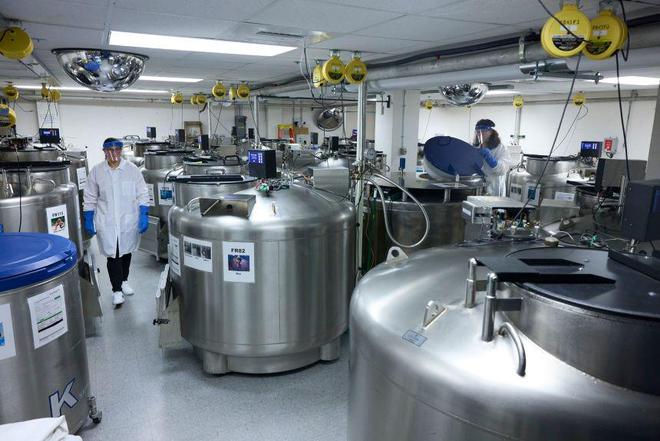 样本可能很快被特朗普葬送哈佛大学几代人建立的生物