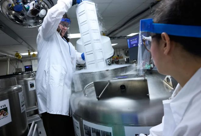 样本可能很快被特朗普葬送哈佛大学几代人建立的生物(图2)